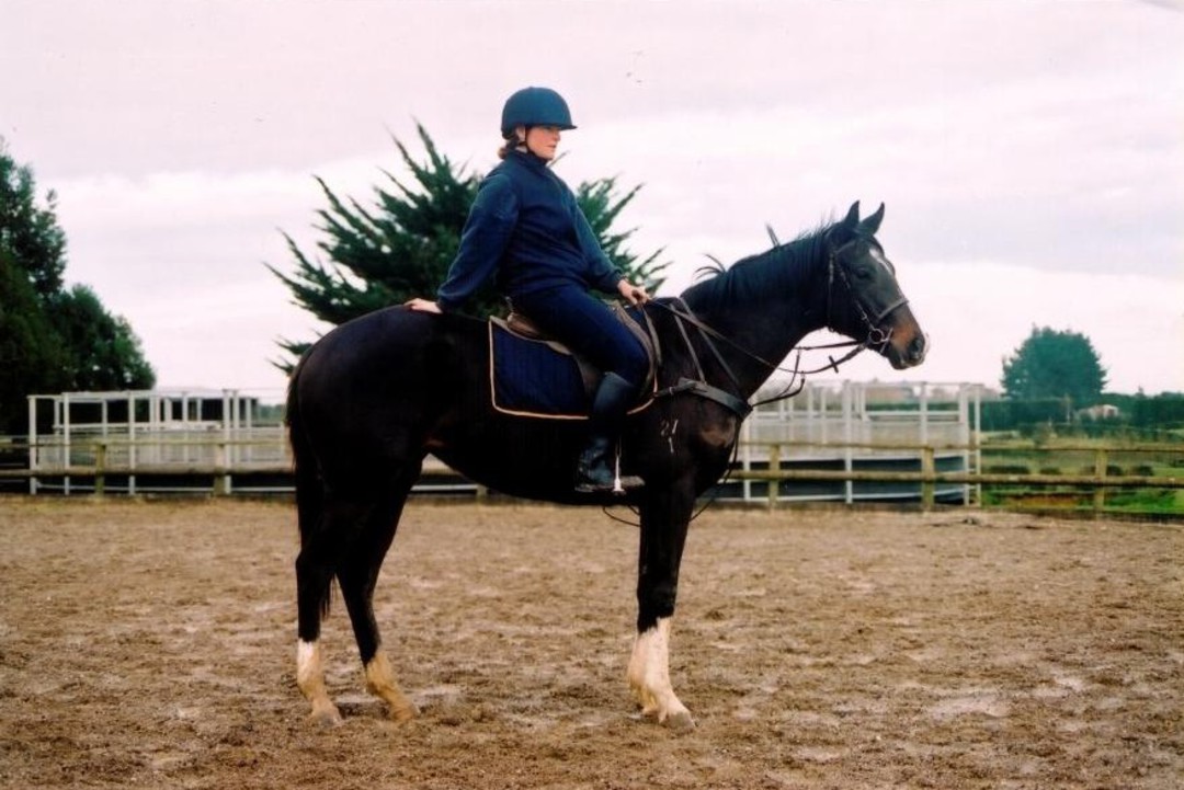 Sporthorse Breaking-In image 1