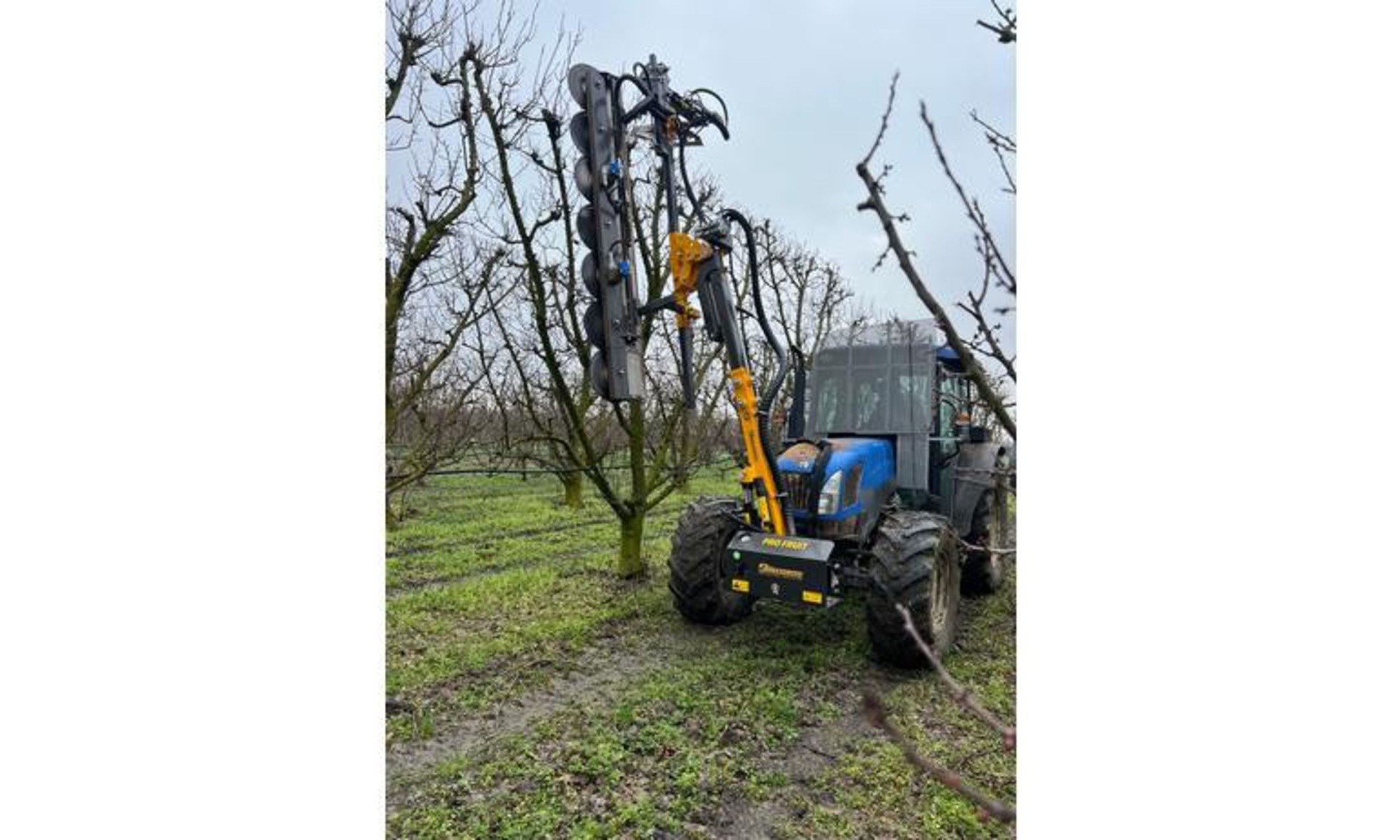 PRO FRUIT VARIO image 1