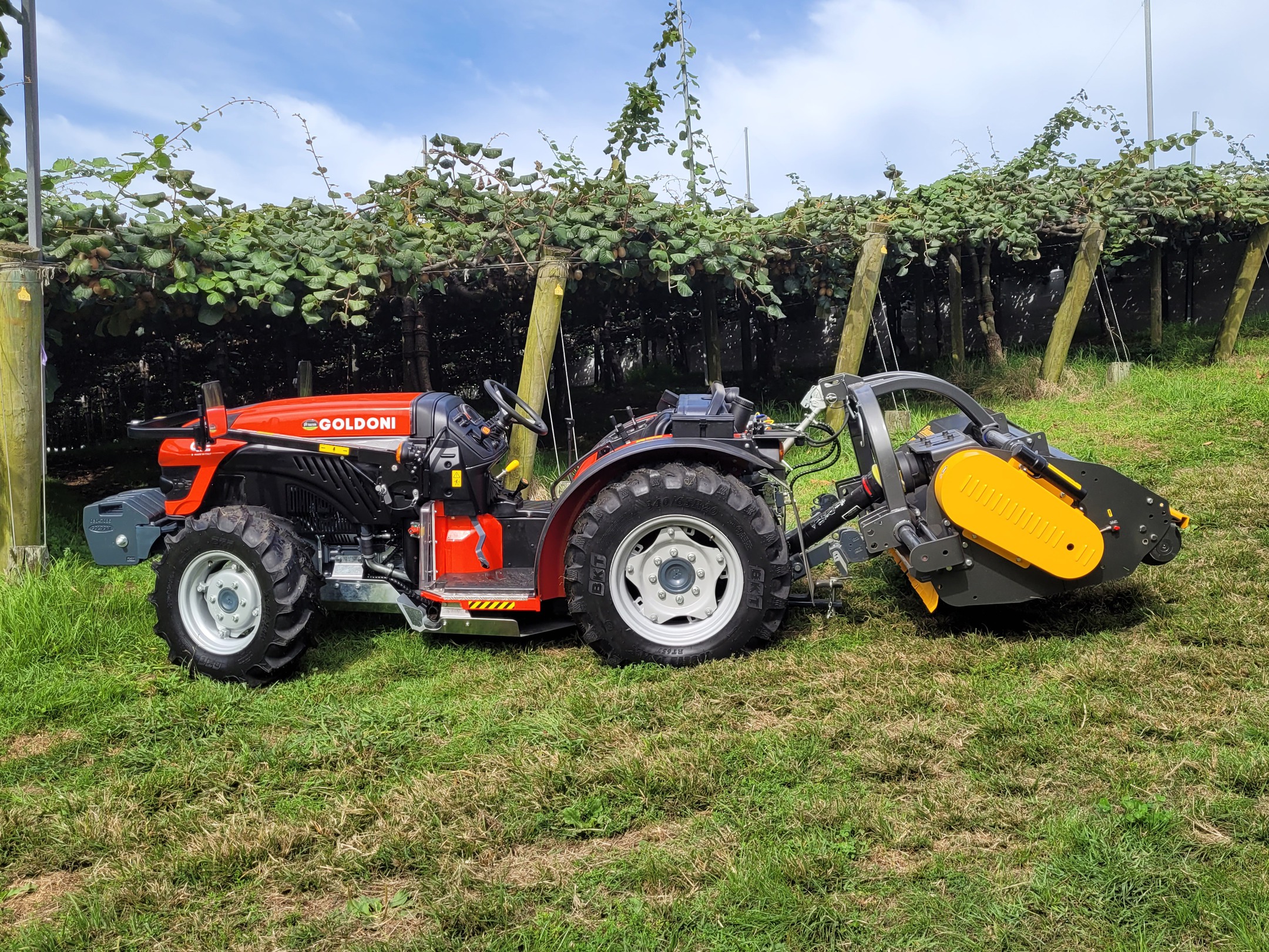 GOLDONI "Super Kiwi" Q Series Rops image 1