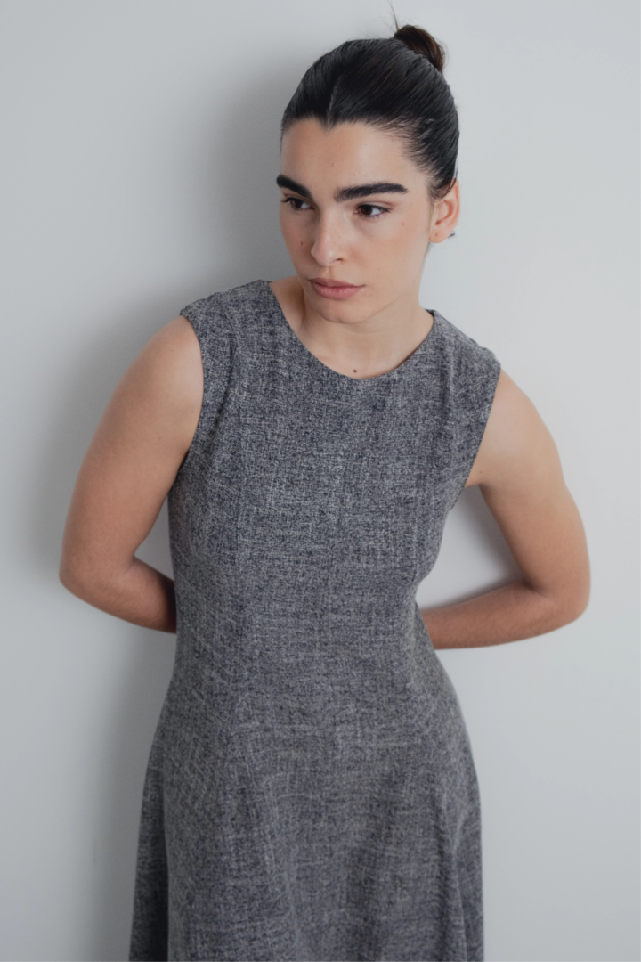 Lennox Sleeveless Swing Dress Small image 4