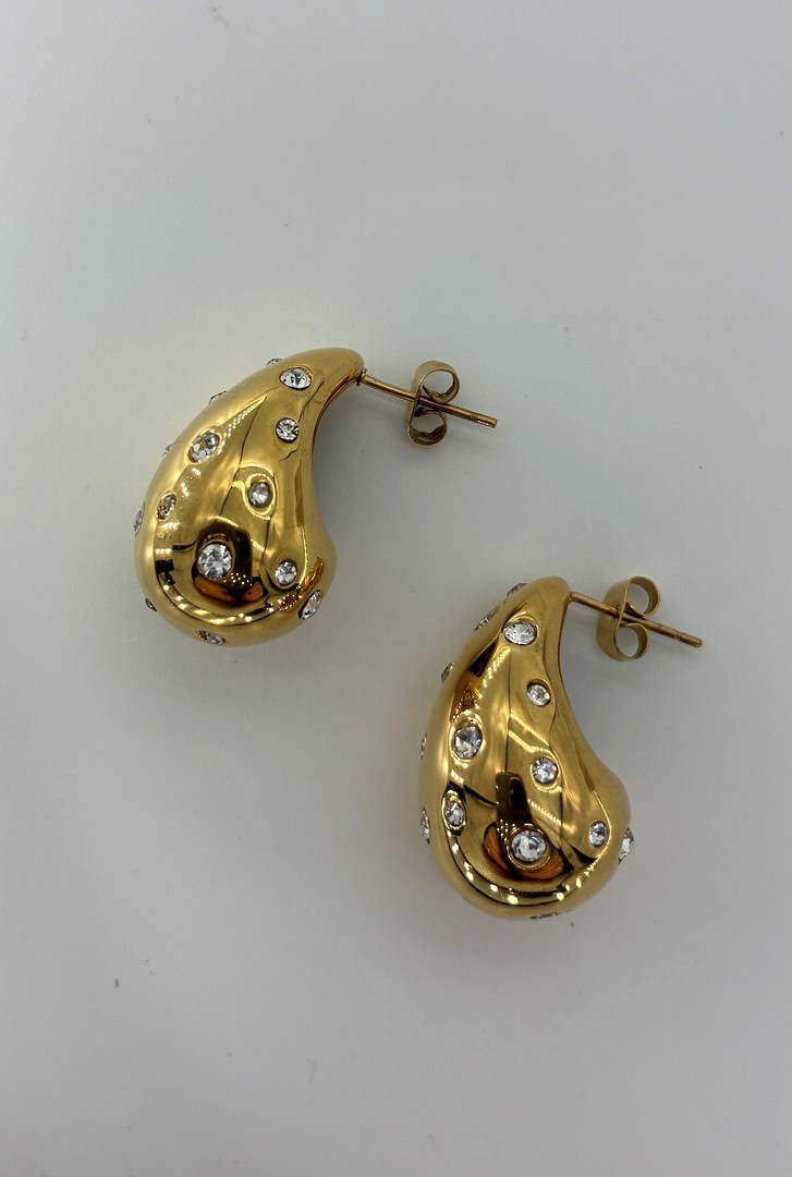 Diamond Encrusted Stainless Steel Earring image 1