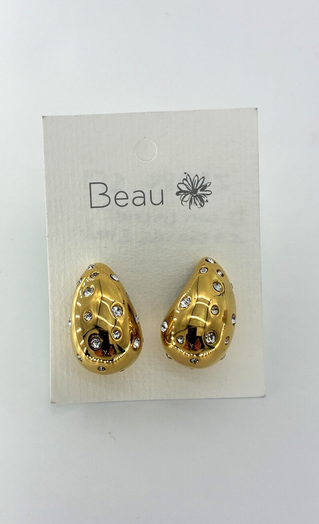 Diamond Encrusted Stainless Steel Earring image 0