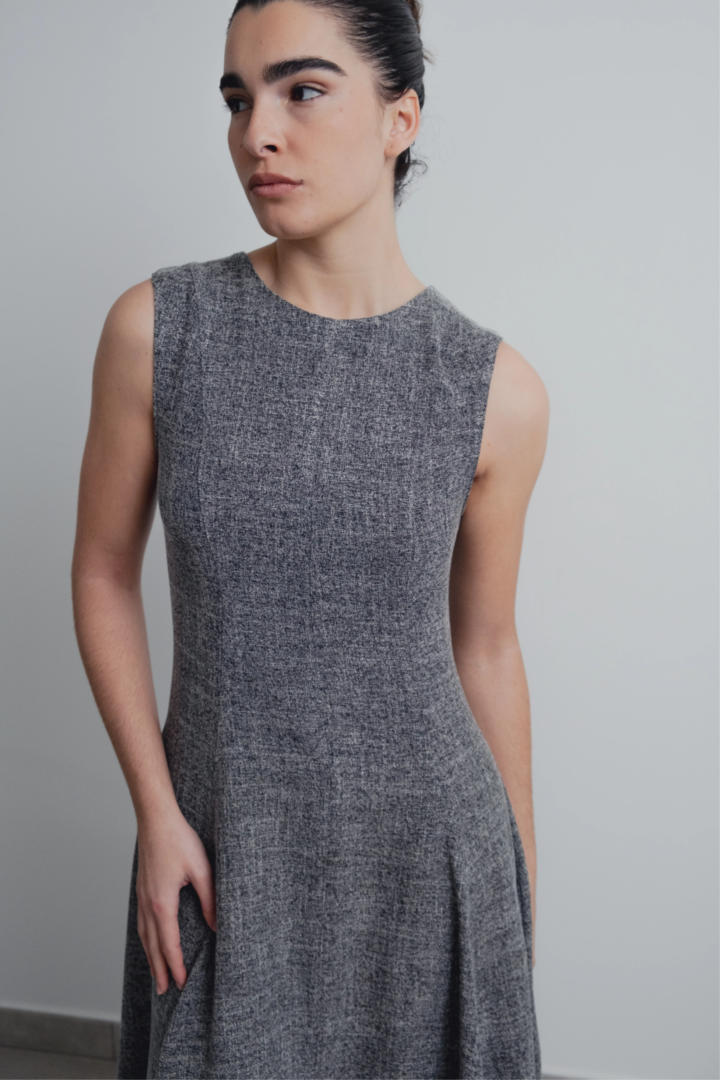 Lennox Sleeveless Swing Dress Small image 3