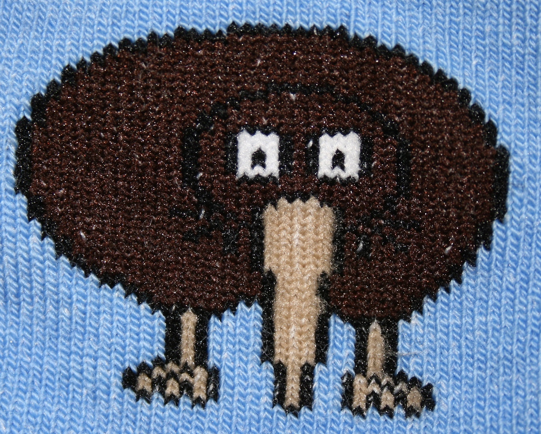 Merino Wool Kiwi Socks for Baby. image 1