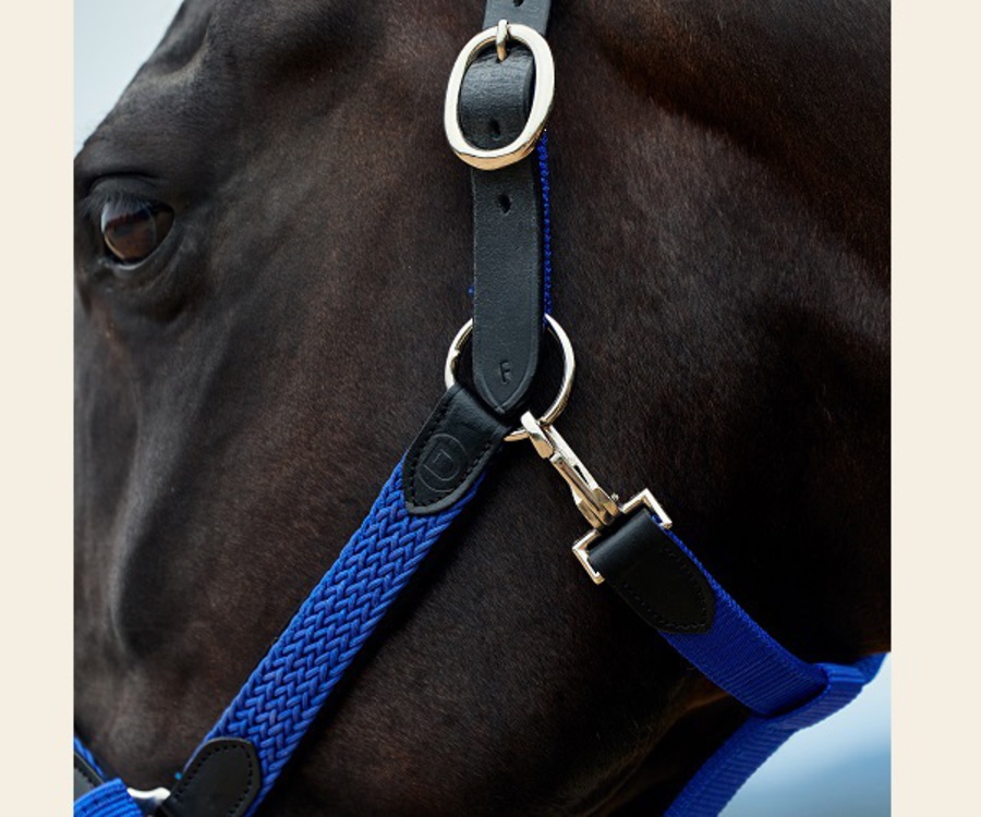 Dublin Braided Leather Headcollar image 10