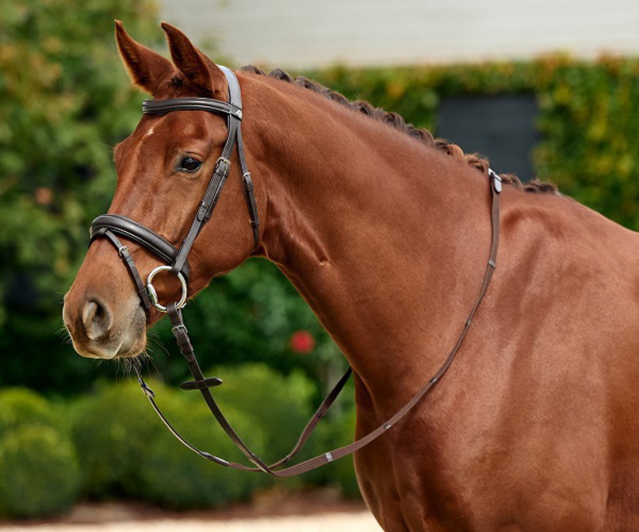 Dublin Padded Flash Bridle image 1