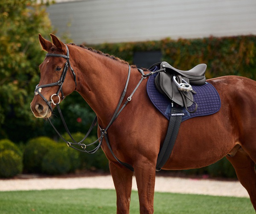 Dublin 3 Point Breastplate image 1