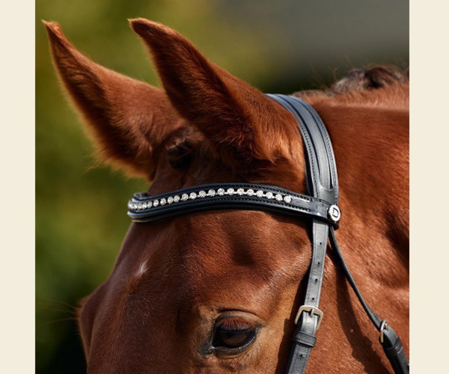 Dublin Patent Bridle image 1