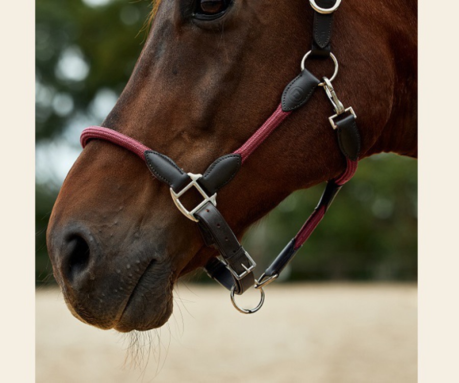 Dublin Leather Rope Headcollar image 5