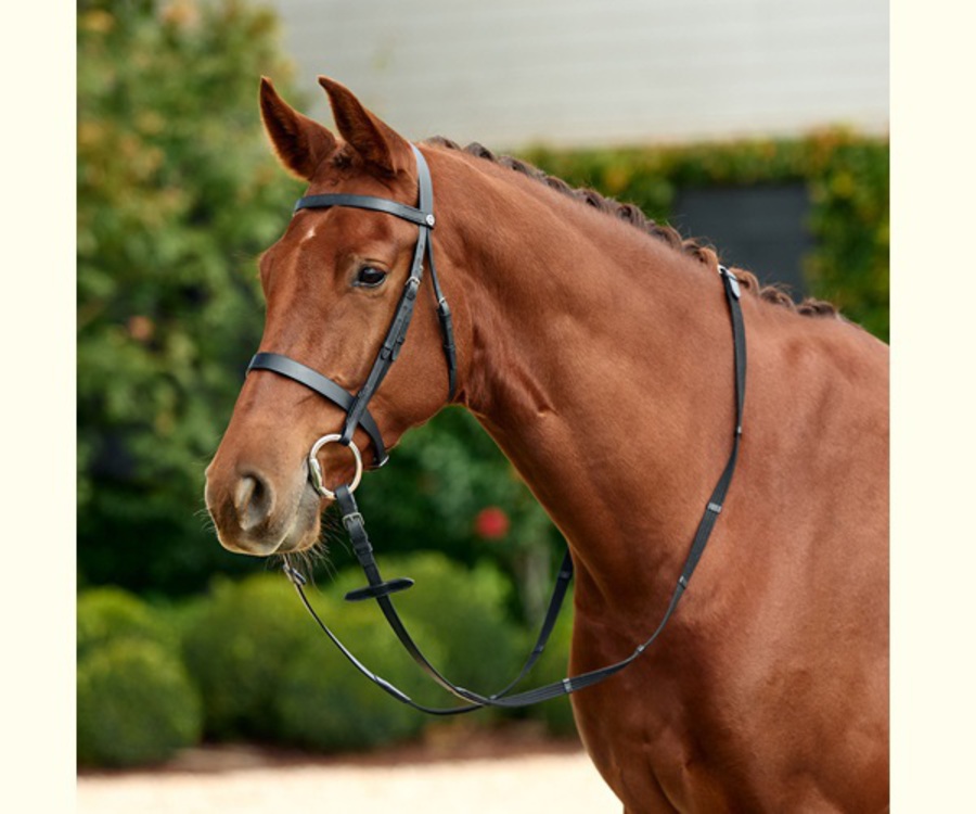 Dublin Flat Cavesson Bridle image 0