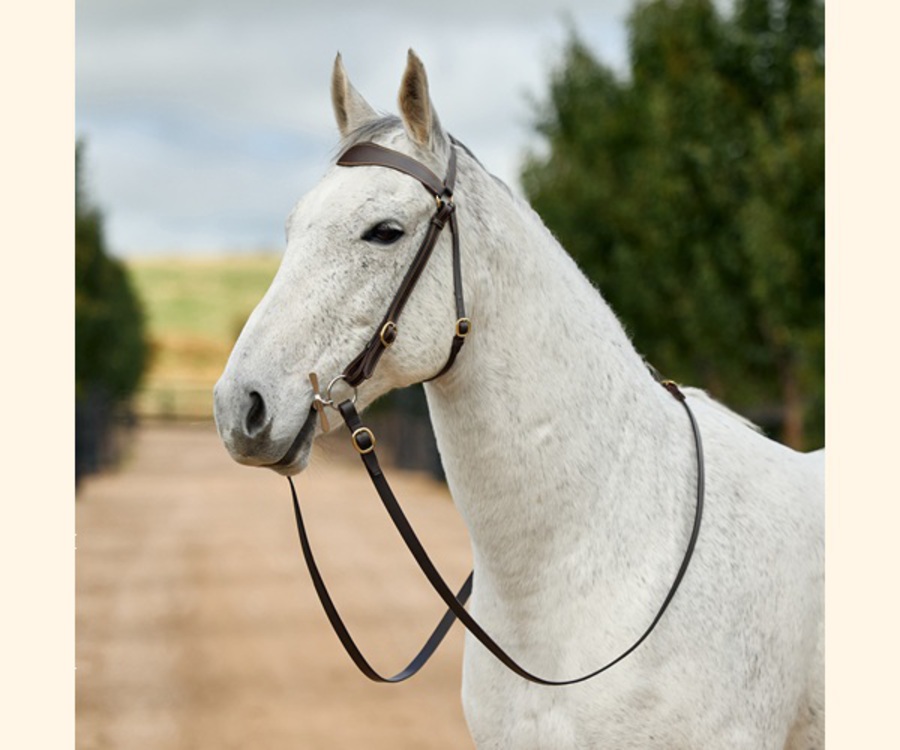 Dublin 3/4 Stitched Barcoo Bridle image 0