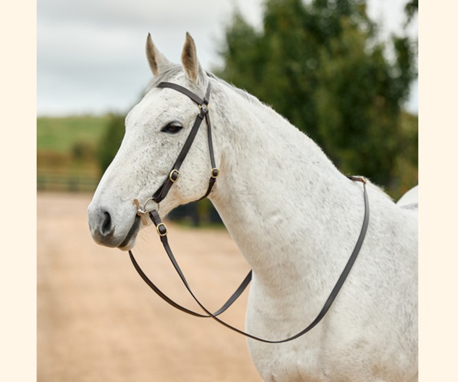 Dublin Brass Barcoo Bridle image 0