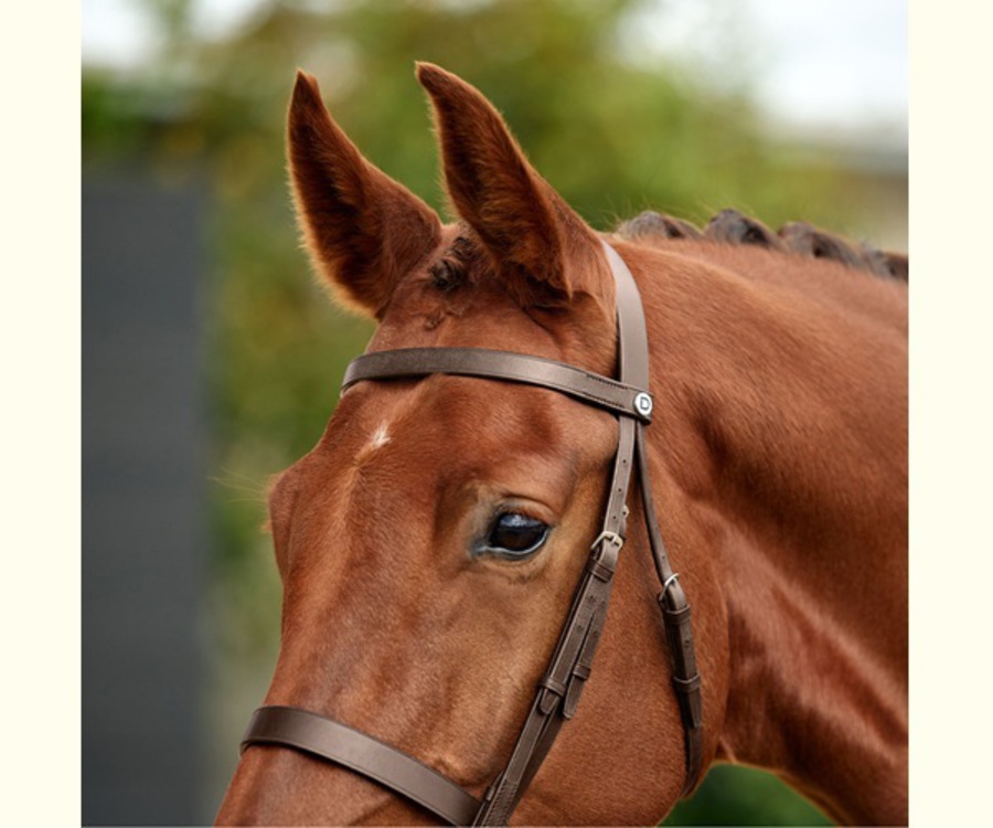 Dublin Flat Cavesson Bridle image 4