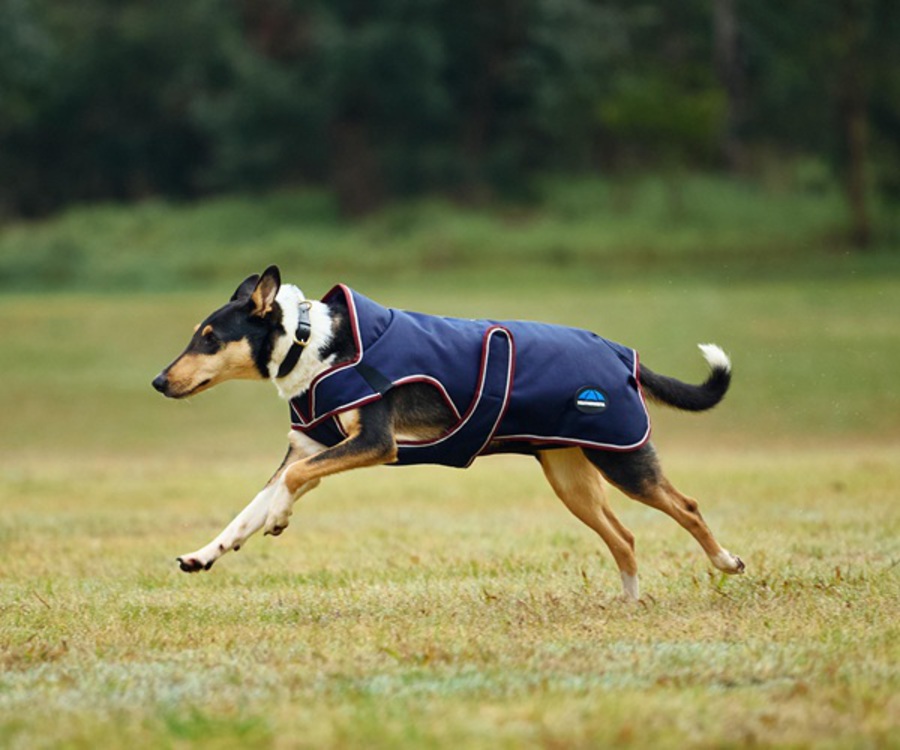 Weatherbeeta Comfitec Premier Deluxe Waterproof Dog Coat image 4