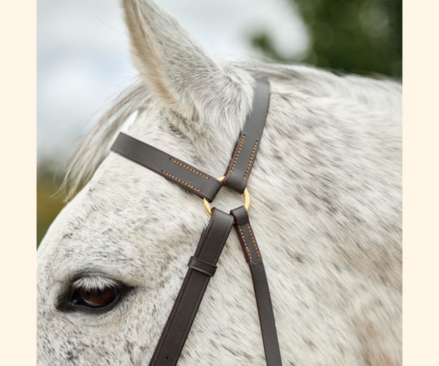 Dublin Brass Barcoo Bridle image 1