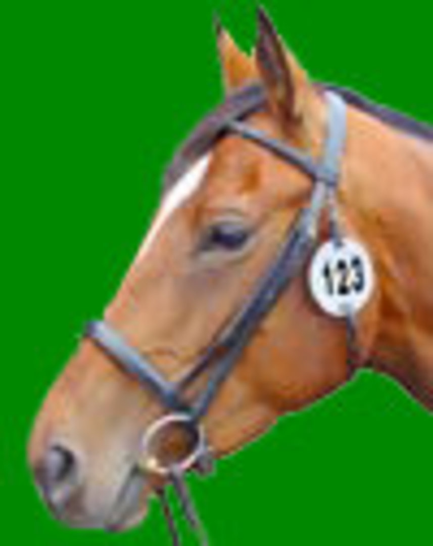 Equidisc Number Holder image 0