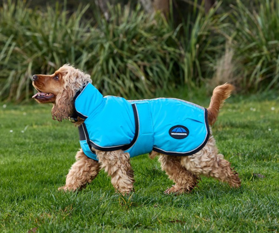 Weatherbeeta Comfitec Reflective 300D Deluxe Waterproof Dog Rug image 1