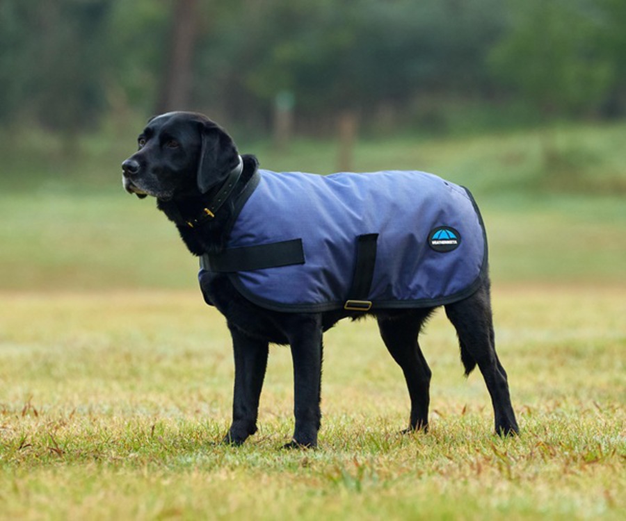 Weatherbeeta Comfitec Classic Waterproof Dog Coat image 4