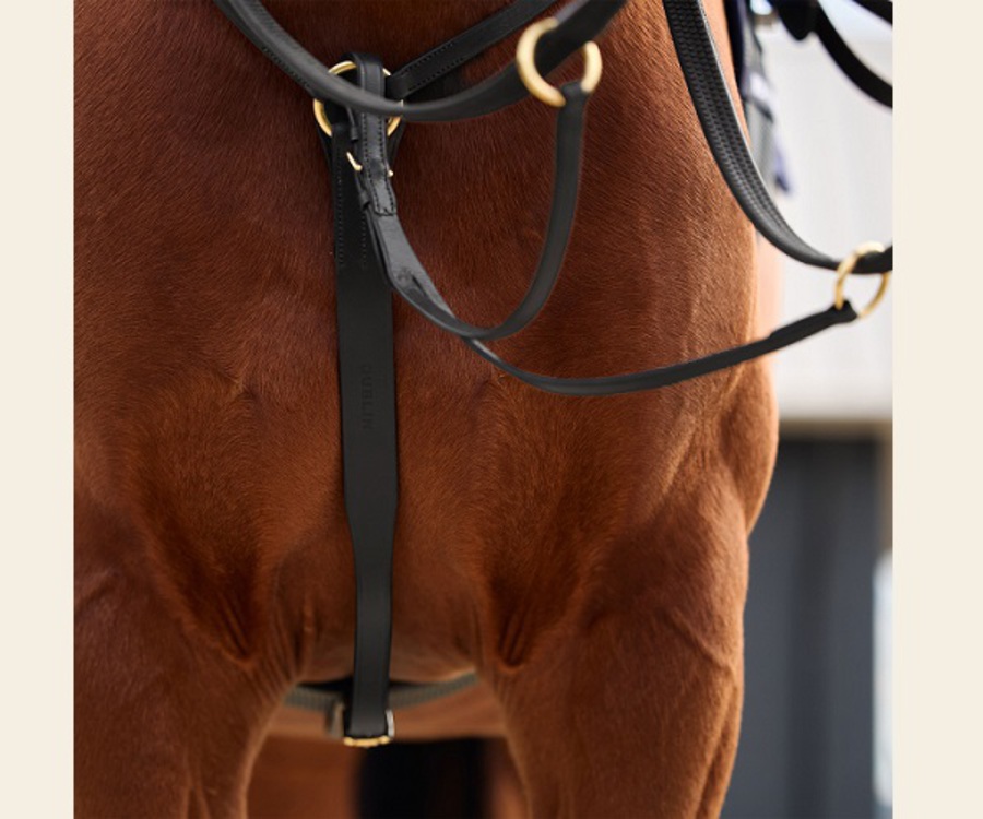 Dublin 3 Point Breastplate image 5