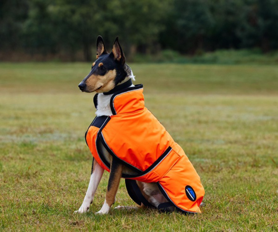 Weatherbeeta Comfitec Reflective 300D Deluxe Waterproof Dog Rug image 5
