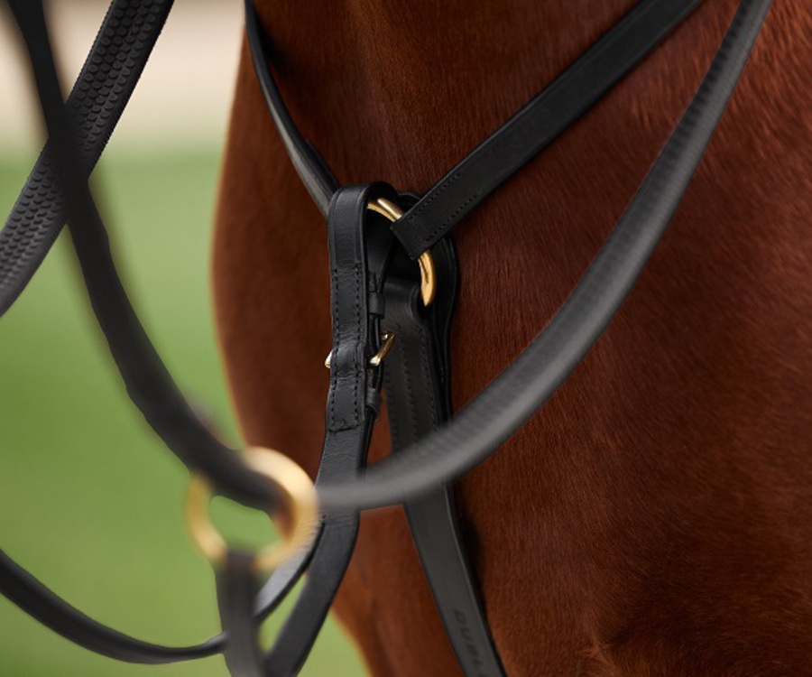 Dublin 3 Point Breastplate image 3