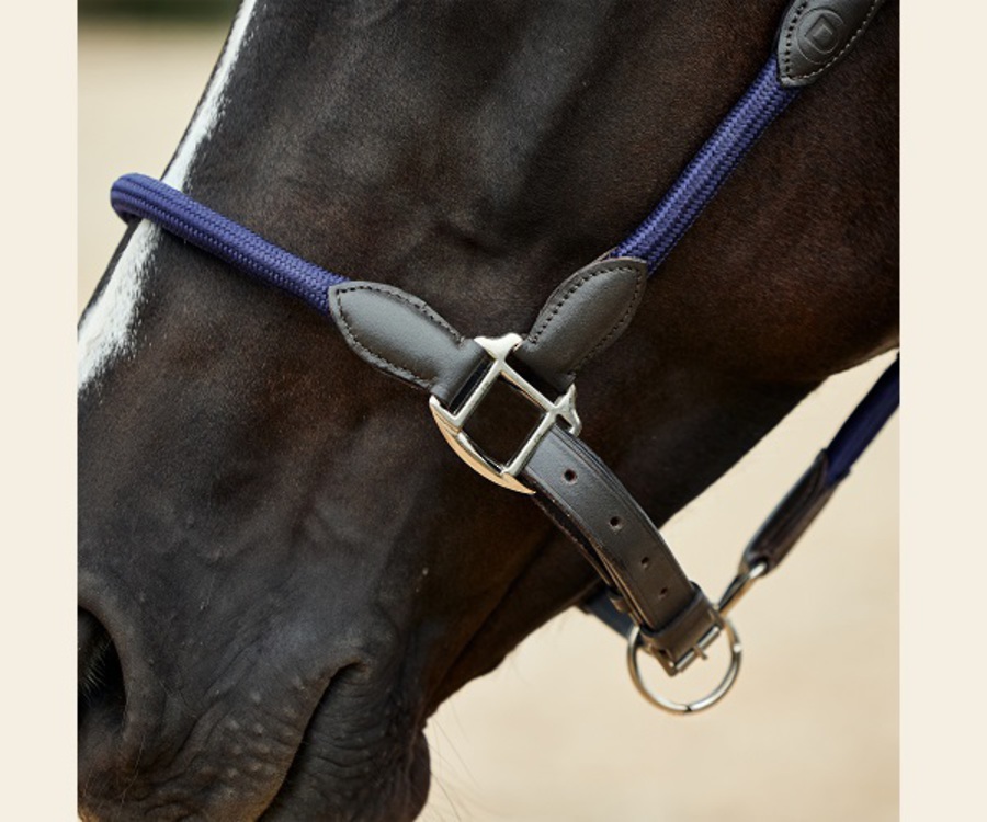 Dublin Leather Rope Headcollar image 7