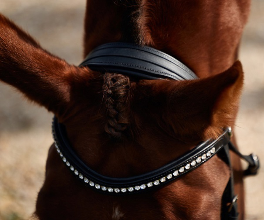 Dublin Patent Bridle image 4