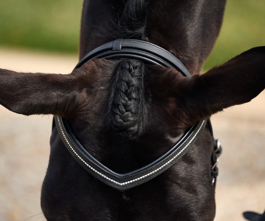 Dublin Crystal Flash Bridle image 3