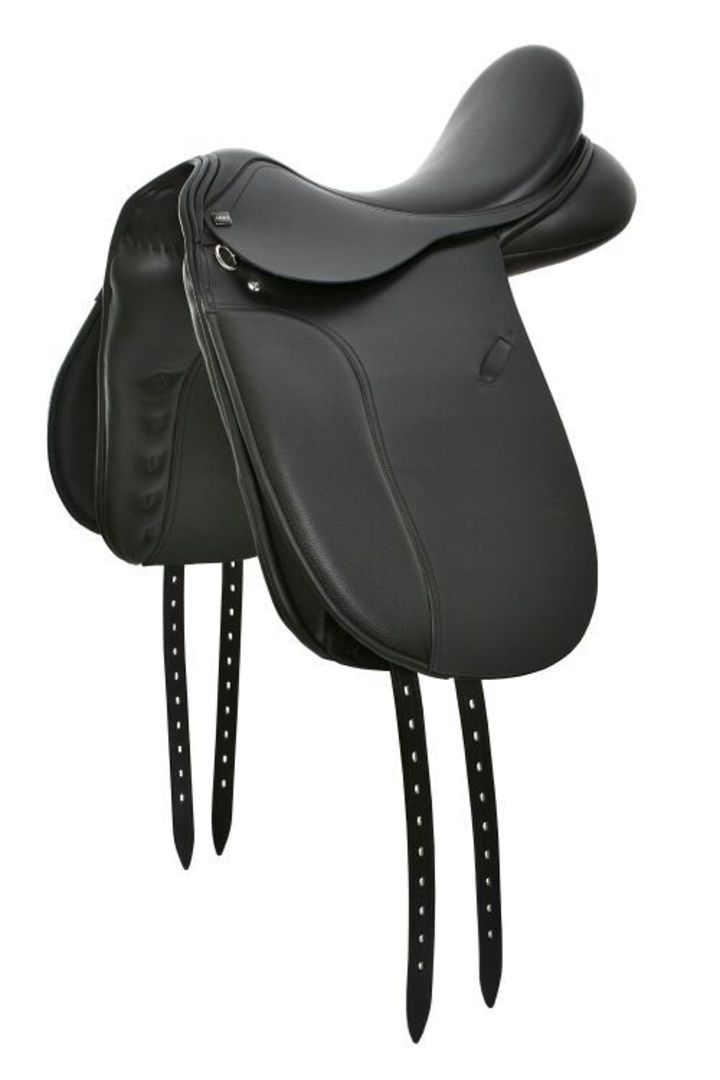 Pessoa Anky Salinero Dressage image 0