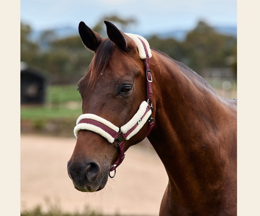 Dublin Soft Fit Headcollar image 2