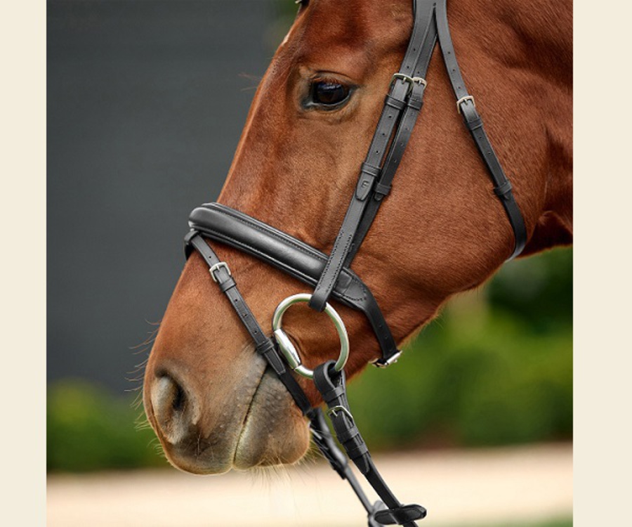 Dublin Padded Flash Bridle image 2