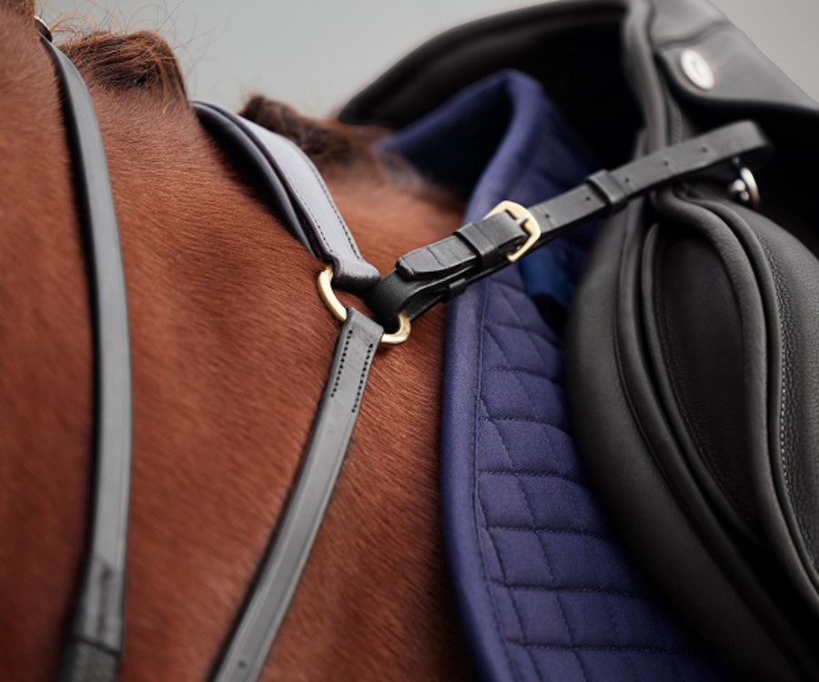 Dublin 3 Point Breastplate image 2