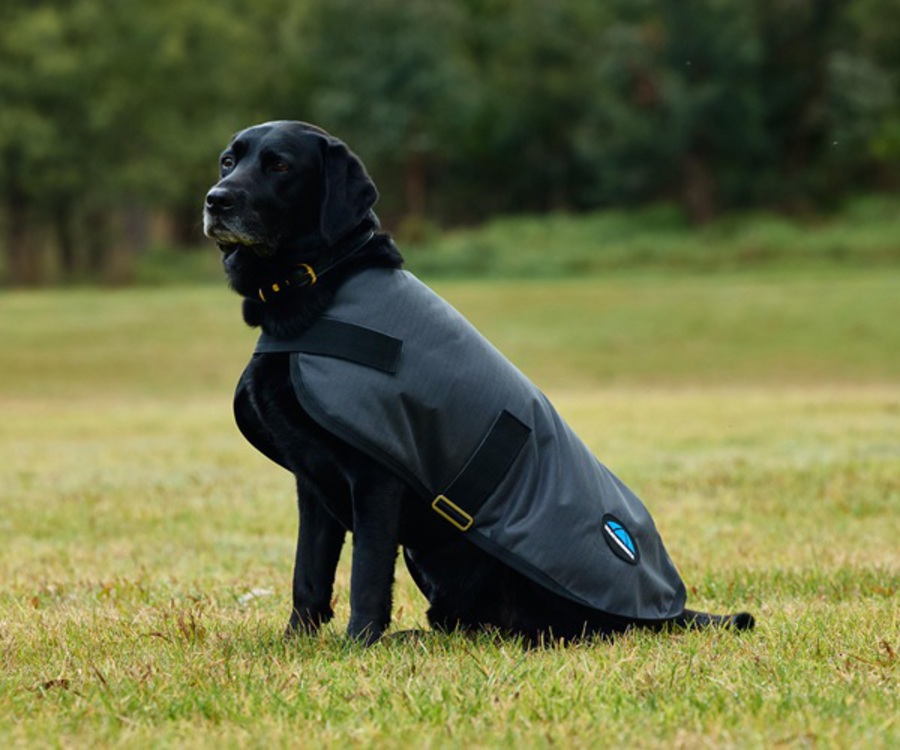Weatherbeeta Comfitec Classic Waterproof Dog Coat image 2