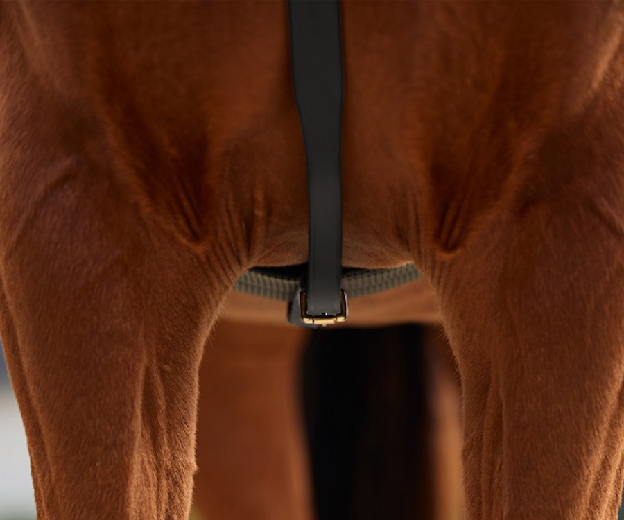 Dublin 3 Point Breastplate image 9