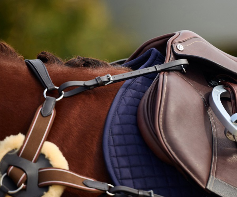 Dublin 5 Point Event Breastplate image 2
