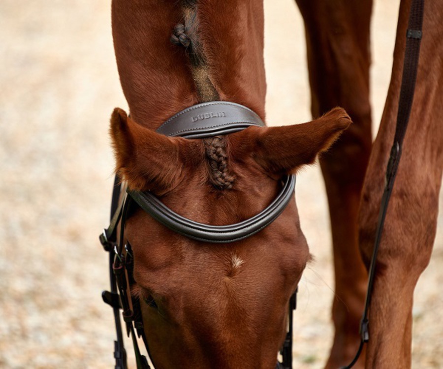 Dublin Padded Flash Bridle image 5