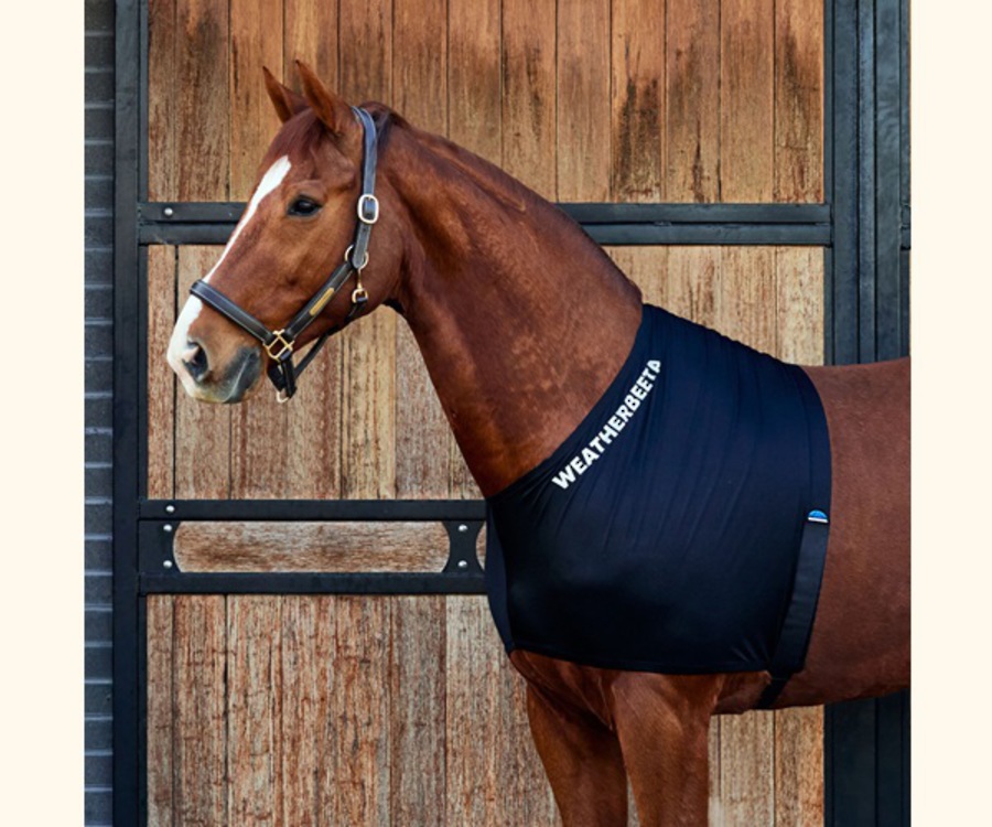 Weatherbeeta Stretch Shoulder Guard image 0