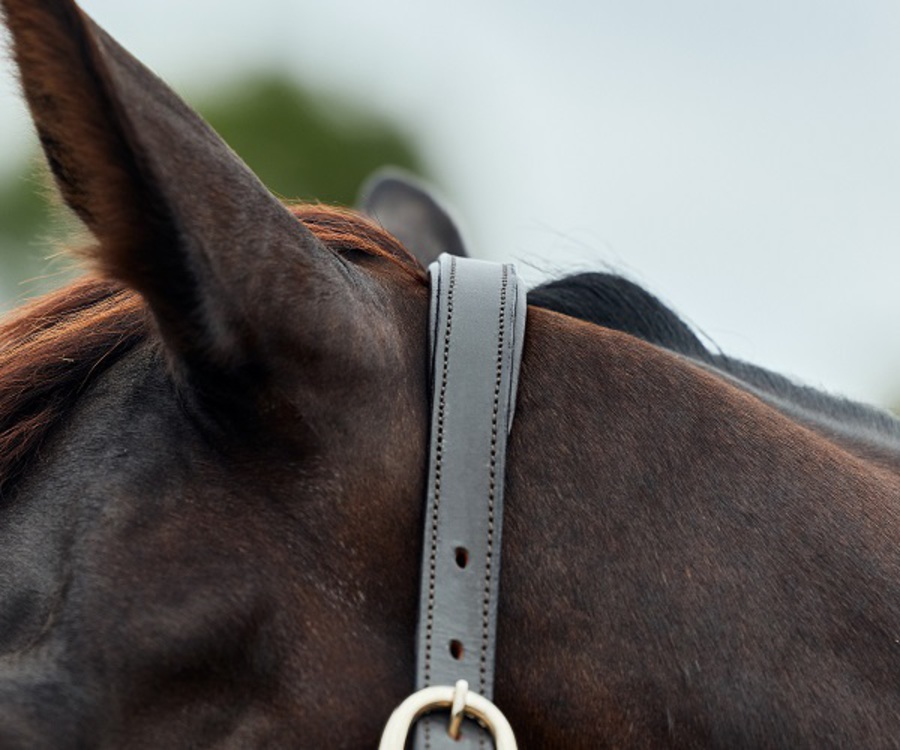 Dublin Leather Rope Headcollar image 6