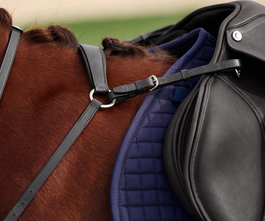 Dublin 3 Point Breastplate image 10