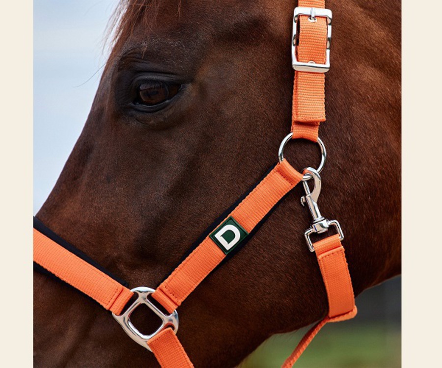 Dublin Neo Comfort Headcollar image 6