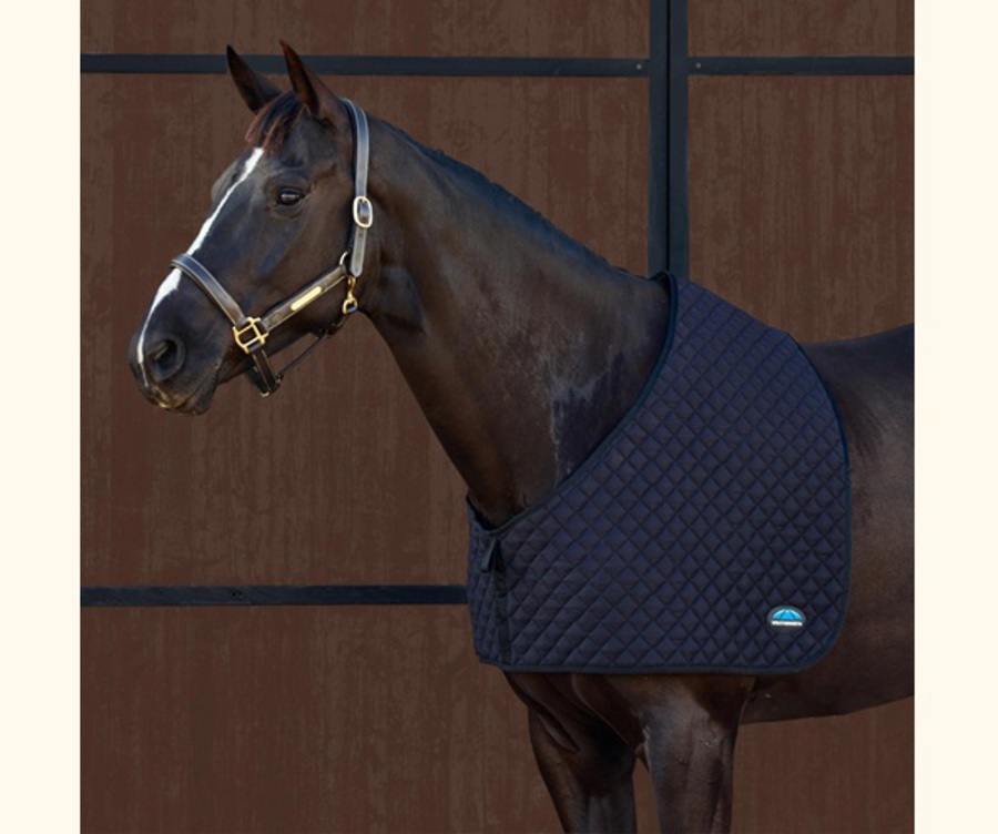 Weatherbeeta Deluxe Shoulder Guard image 0