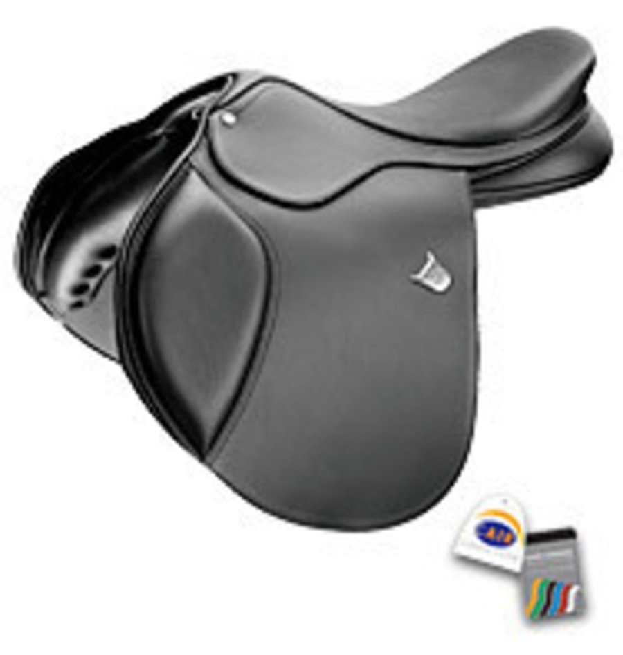 Bates Momentum Saddle-Cair image 0