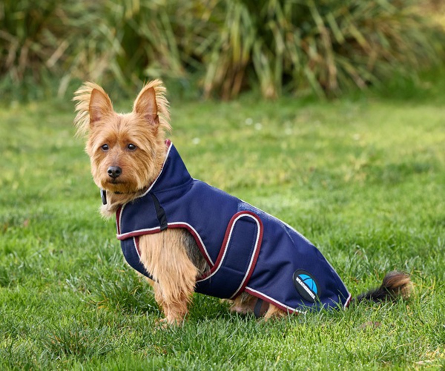 Weatherbeeta Comfitec Premier Deluxe Waterproof Dog Coat image 6