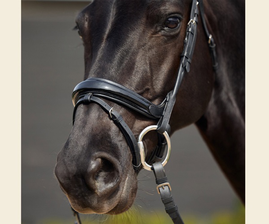 Dublin Padded Patent Flash Bridle image 2