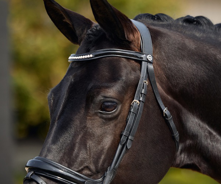 Dublin Padded Patent Flash Bridle image 4