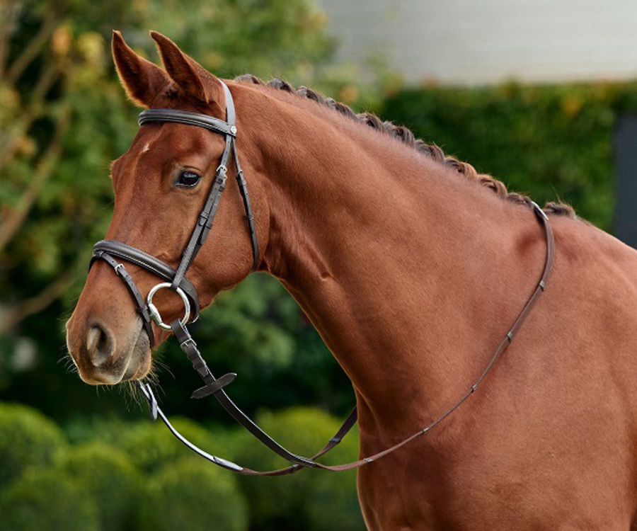 Dublin Flash Bridle image 1