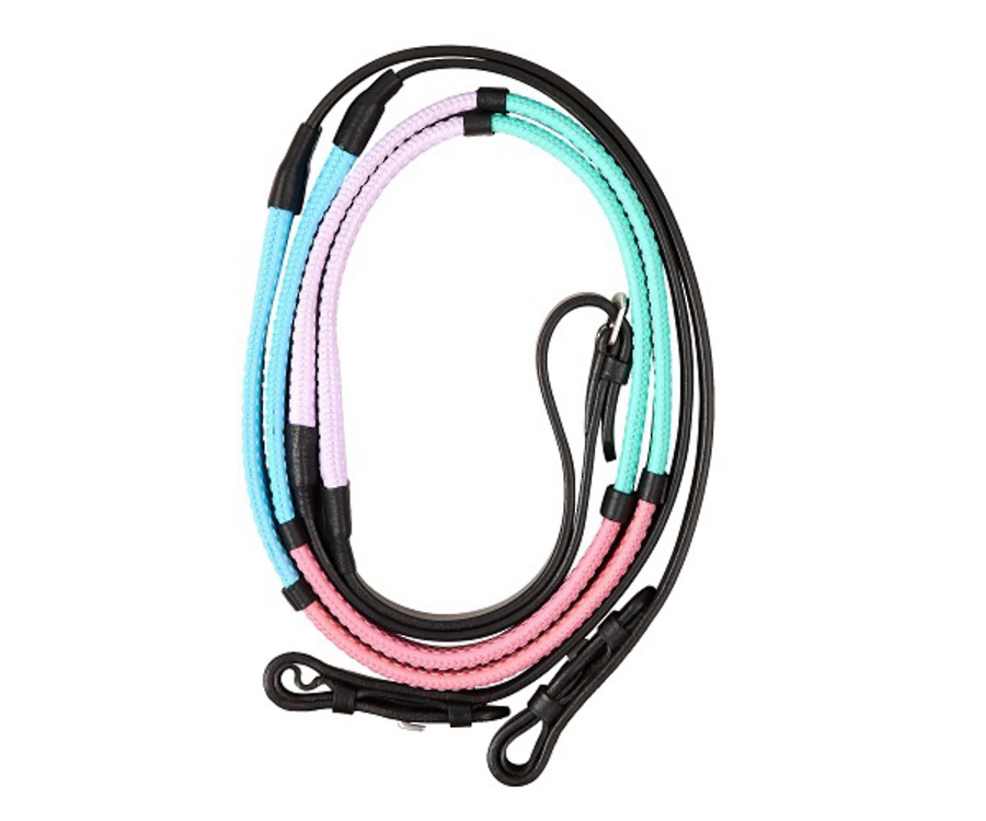 Dublin Pastel Rainbow Reins image 0