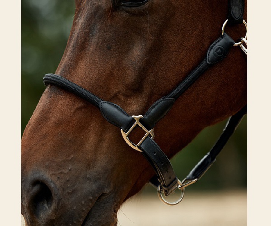 Dublin Leather Rope Headcollar image 9
