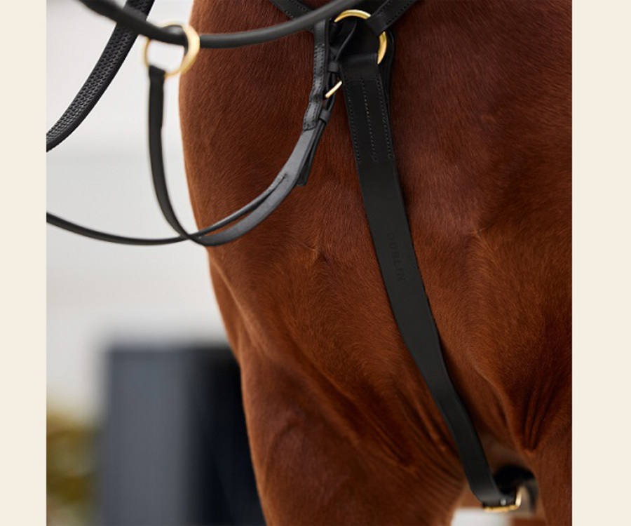 Dublin 3 Point Breastplate image 6
