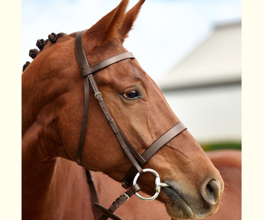 Dublin Flat Cavesson Bridle image 5